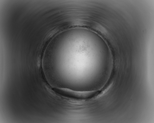 X0000089380833200706151203