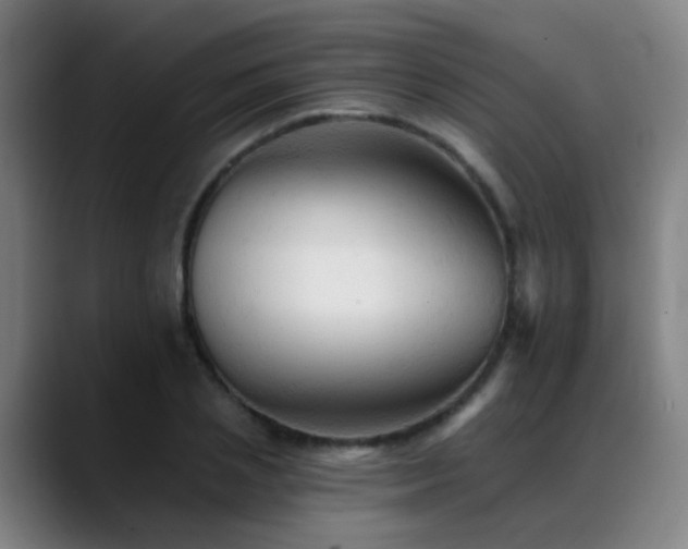 X0000089380837200706151203