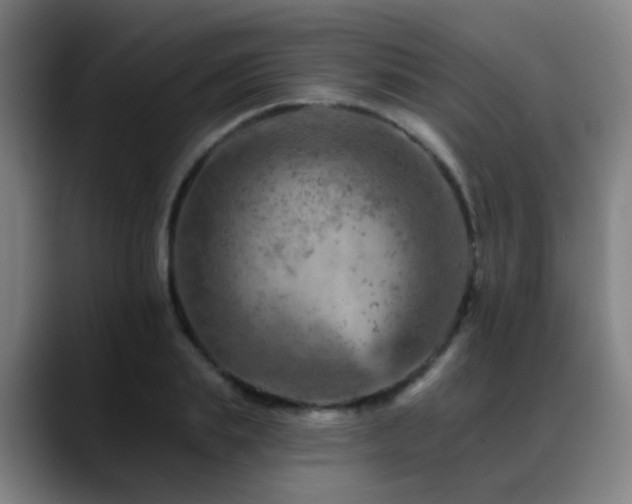 X0000089380839200706151203