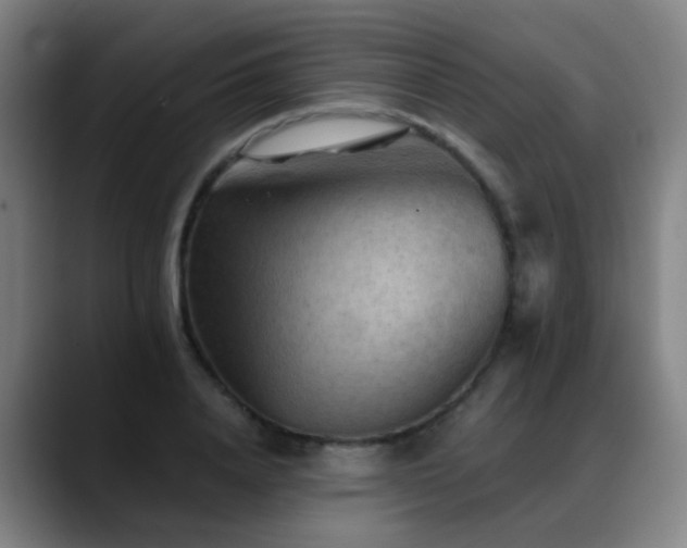 X0000089380840200706151203