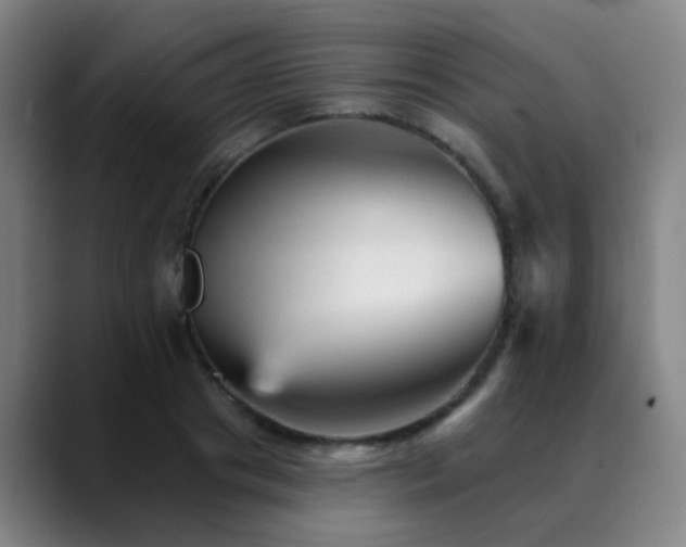 X0000089380841200706151203