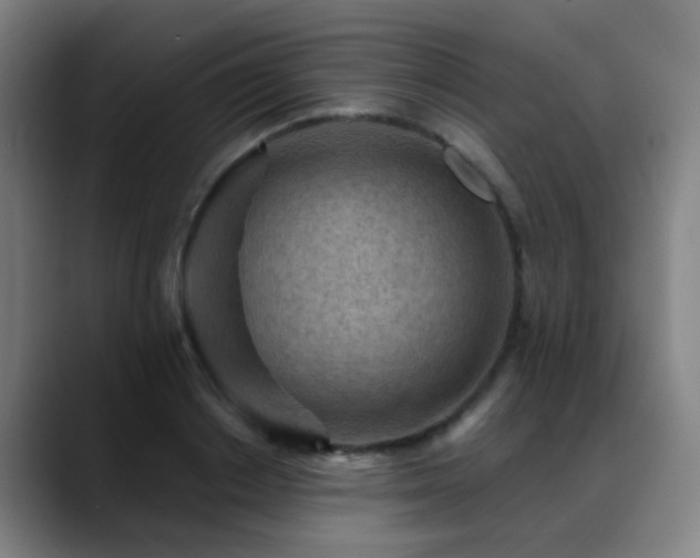 X0000089380842200706151203