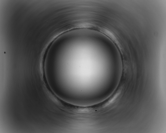 X0000089380843200706151203