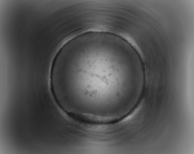 X0000089380845200706151203