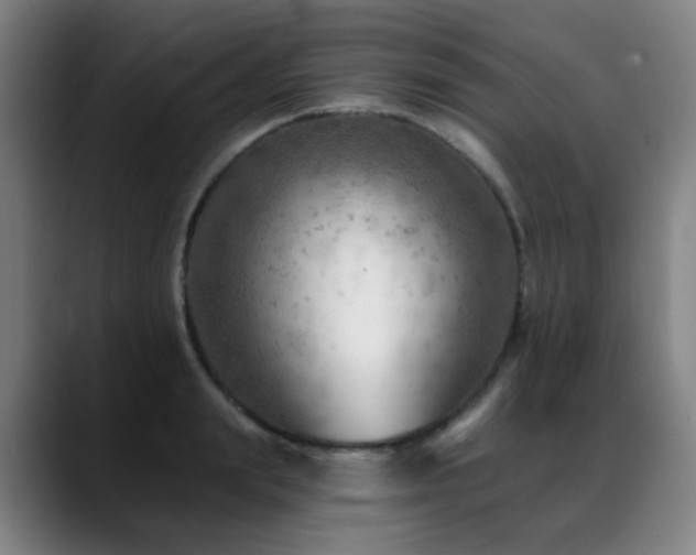 X0000089380847200706151203