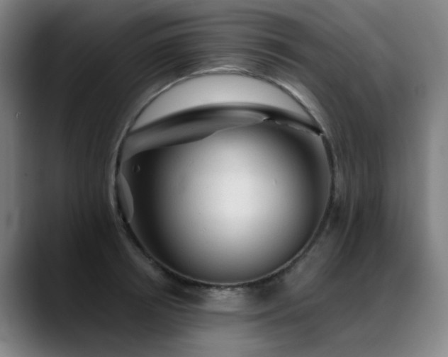 X0000089380850200706151203