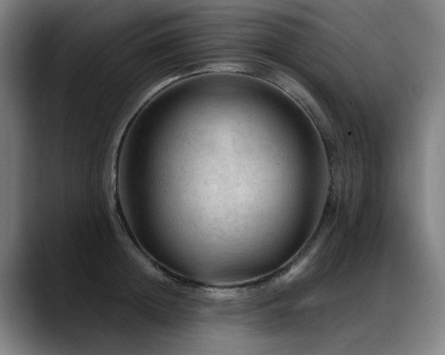 X0000089380852200706151203
