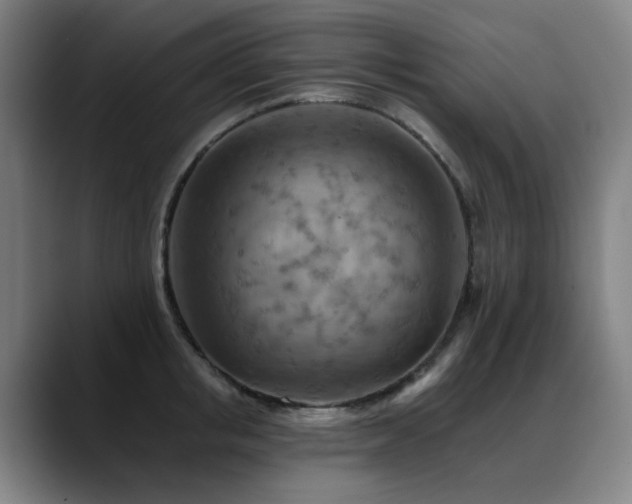X0000089380853200706151203