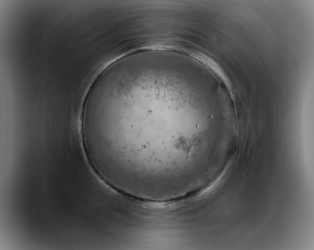 X0000089380855200706151203
