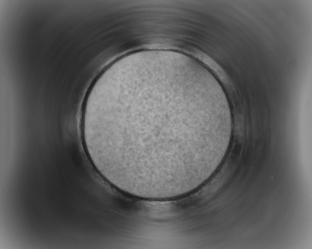 X0000089380856200706151203