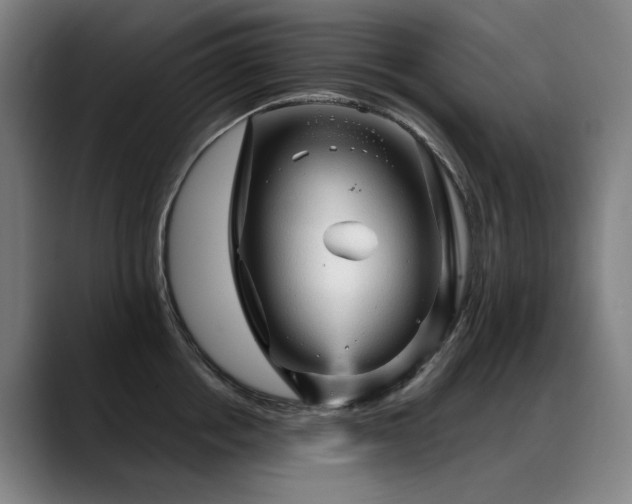 X0000089380858200706151203