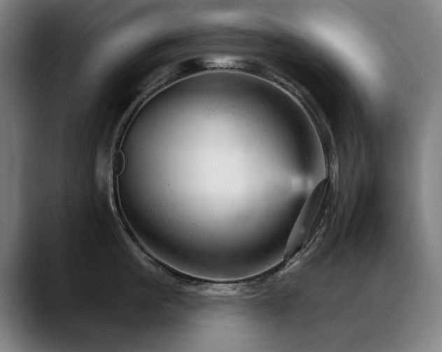 X0000089380861200706151203