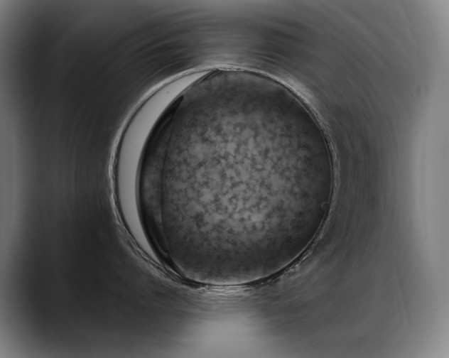 X0000089380864200706151203