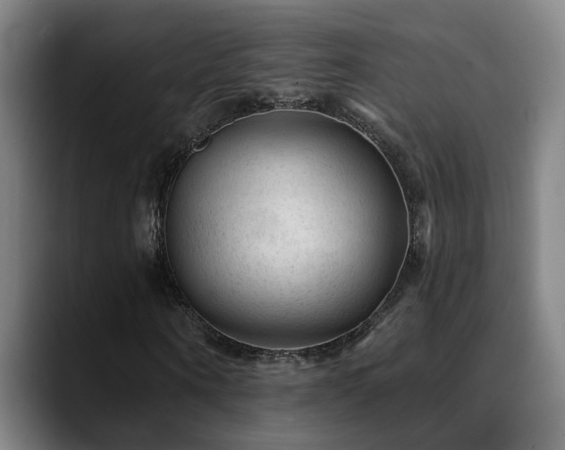 X0000089380866200706151202