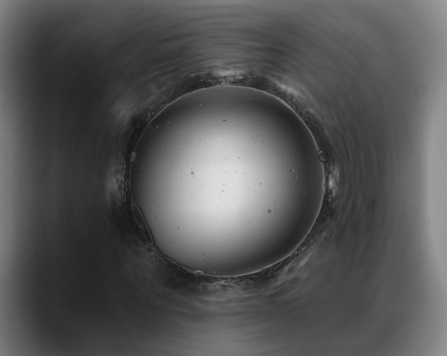 X0000089380867200706151202