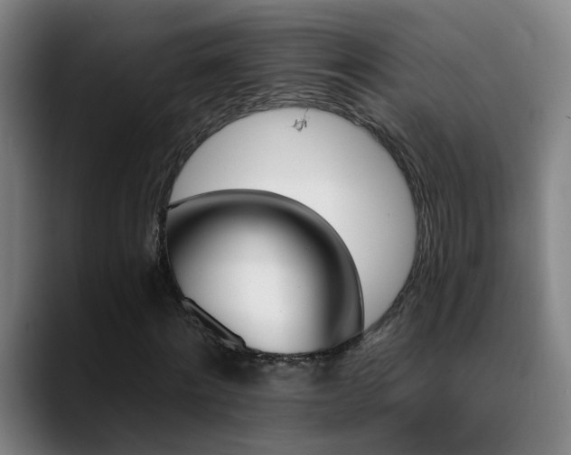 X0000089380868200706151202