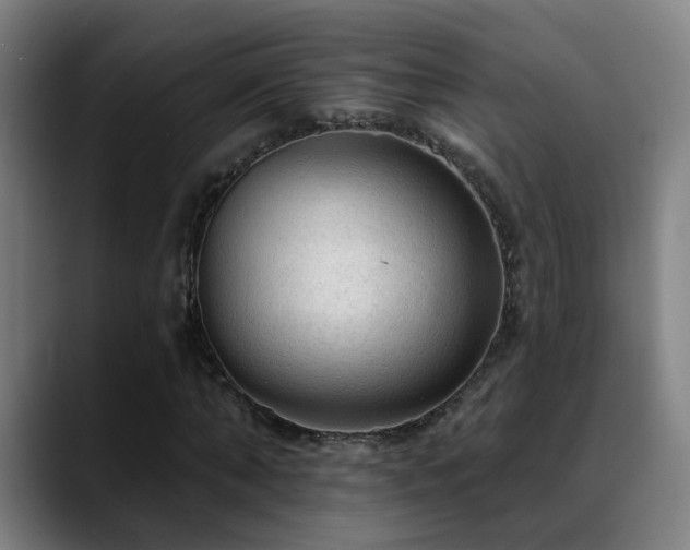 X0000089380870200706151202