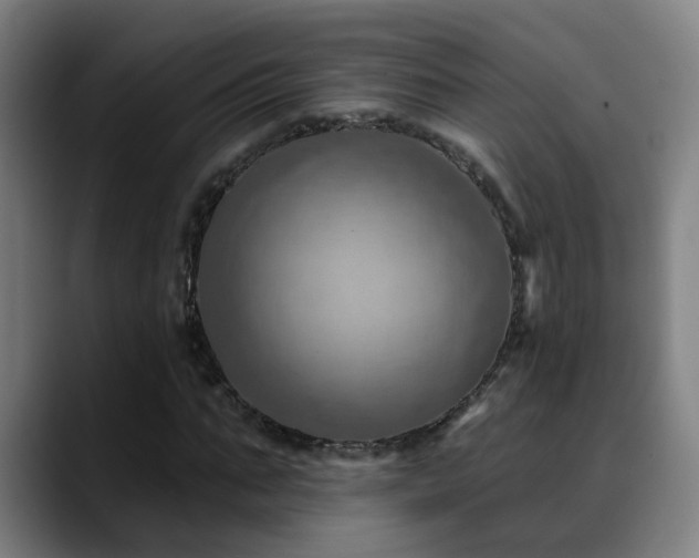 X0000089380871200706151202