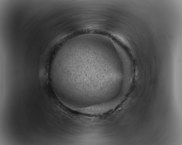 X0000089380872200706151202