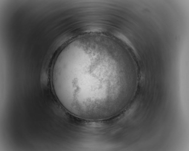 X0000089380874200706151202
