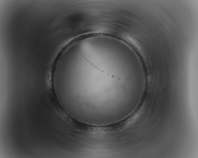 X0000089380875200706151202