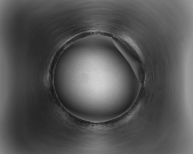 X0000089380876200706151202