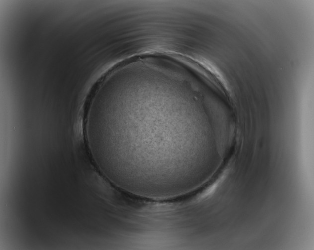 X0000089380877200706151202