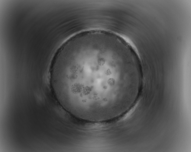 X0000089380879200706151202