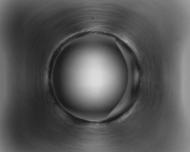 X0000089380880200706151202