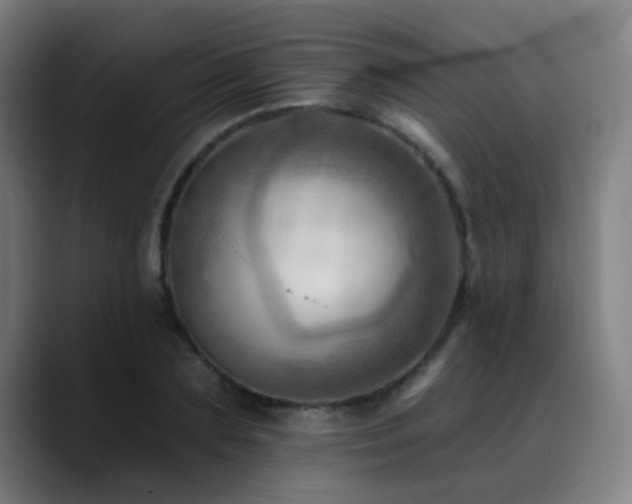 X0000089380883200706151202