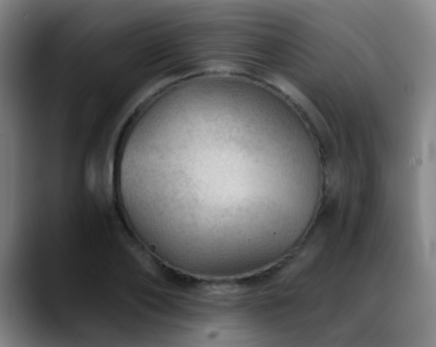 X0000089380886200706151202