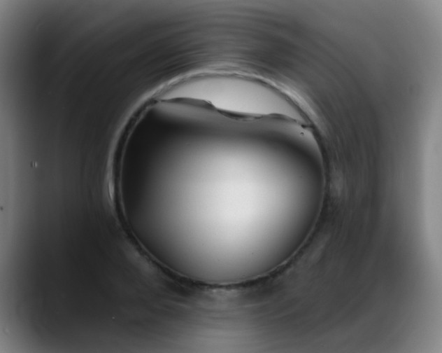 X0000089380888200706151202