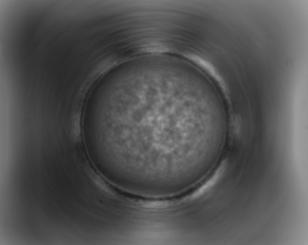 X0000089380889200706151202