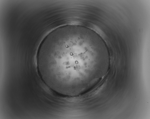 X0000089380891200706151202