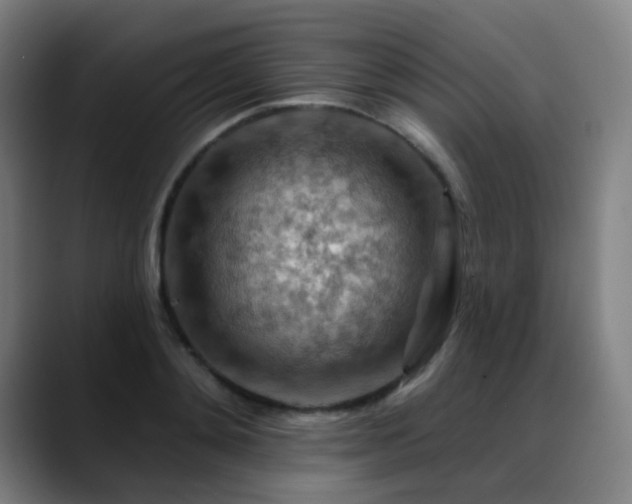 X0000089380892200706151202