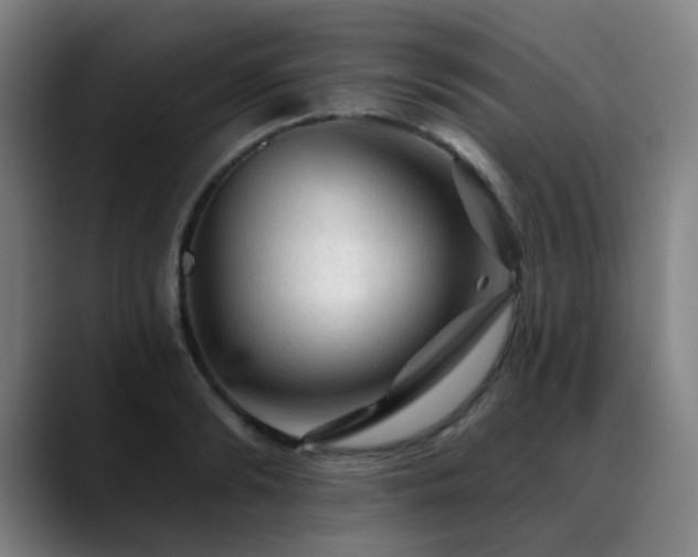 X0000089380894200706151202