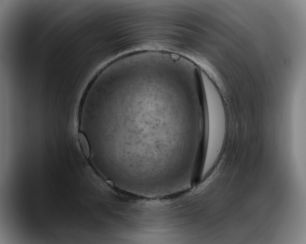 X0000089380896200706151202