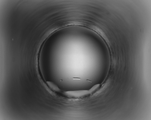 X0000089380898200706151202