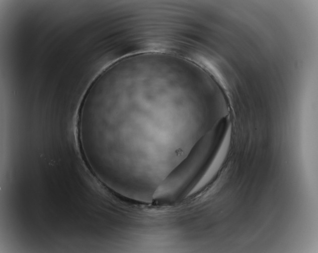 X0000089380899200706151202