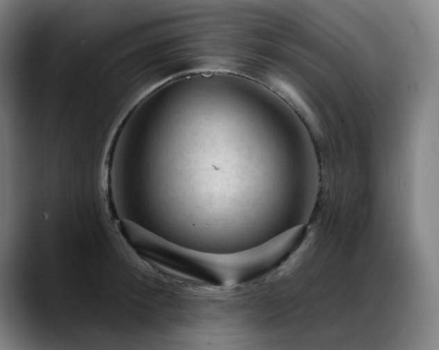 X0000089380900200706151202