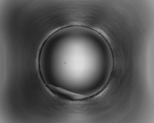 X0000089380902200706151202