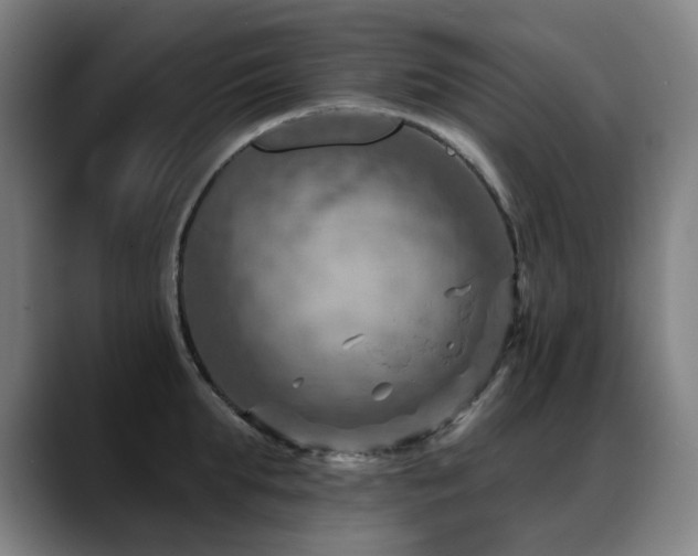X0000089380903200706151202