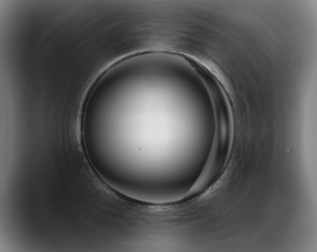 X0000089380904200706151202