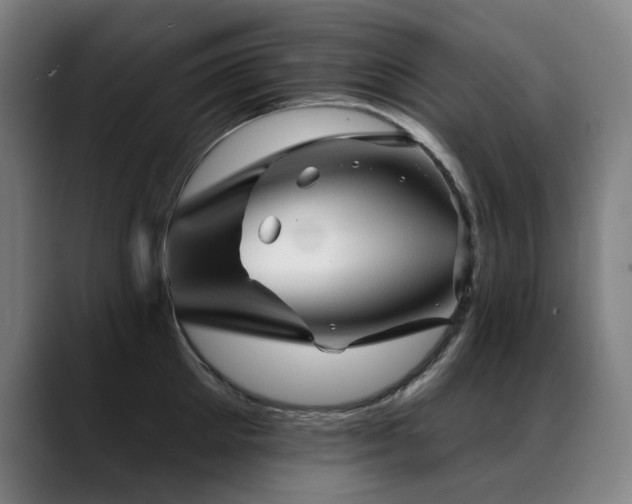 X0000089380905200706151202