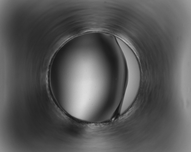 X0000089380906200706151202