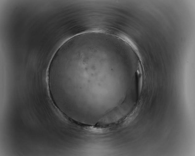 X0000089380907200706151202