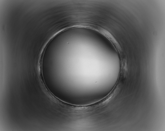 X0000089380908200706151202