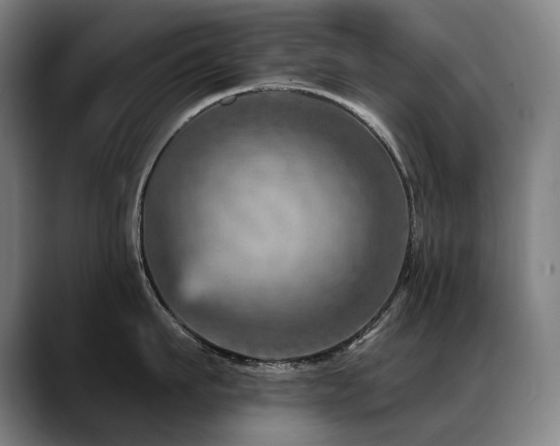 X0000089380911200706151202