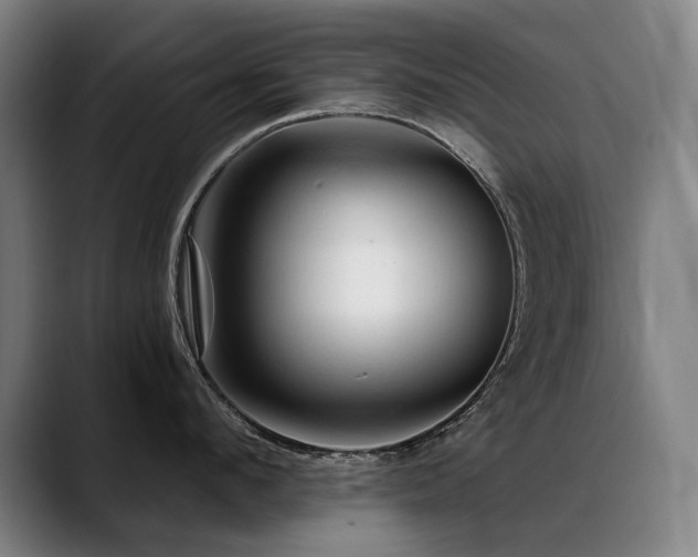 X0000089380912200706151202