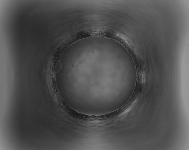X0000089380913200706151201